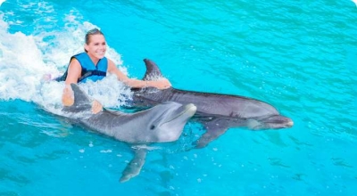 Delfinschwimmen